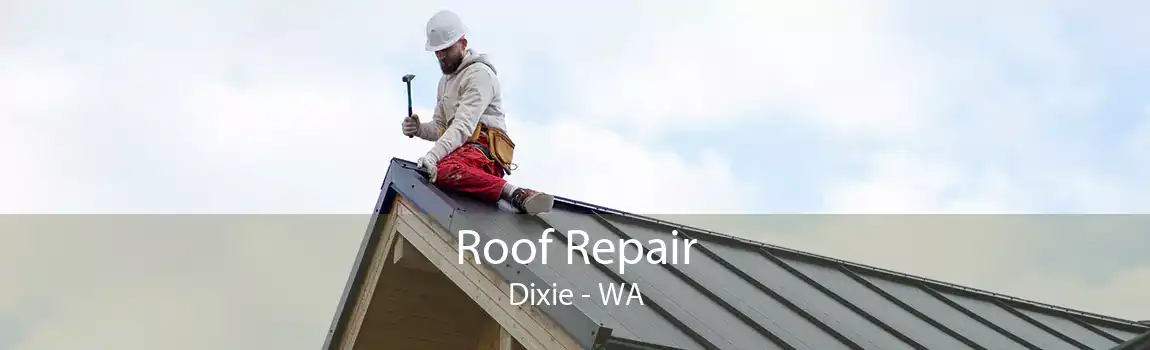 Roof Repair Dixie - WA