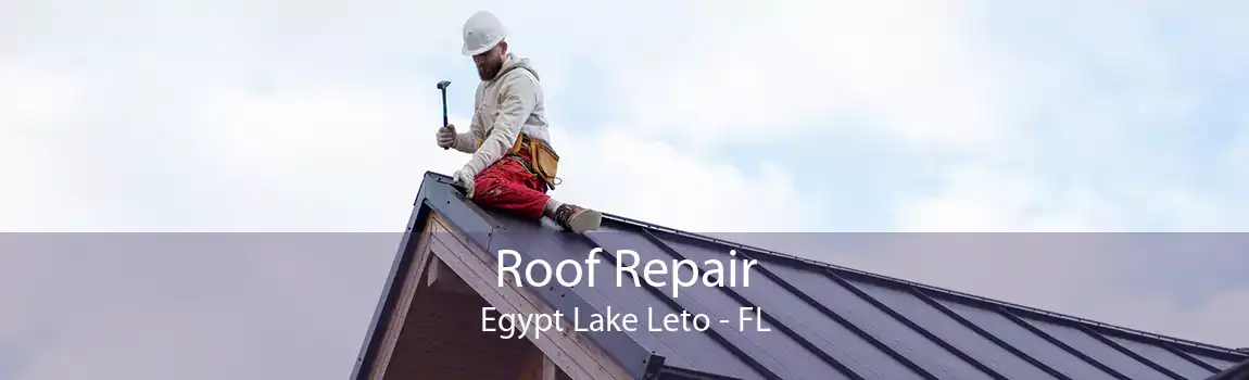 Roof Repair Egypt Lake Leto - FL