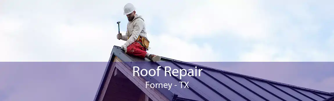 Roof Repair Forney - TX