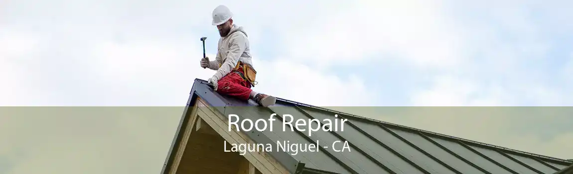 Roof Repair Laguna Niguel - CA