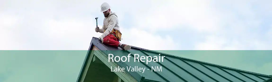 Roof Repair Lake Valley - NM