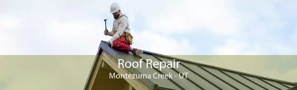 Roof Repair Montezuma Creek - UT