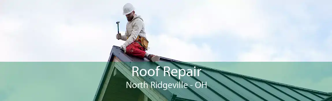 Roof Repair North Ridgeville - OH