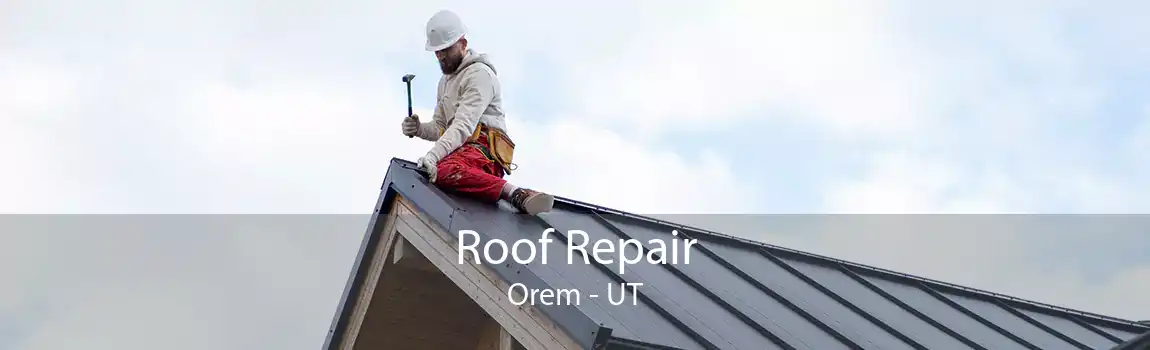 Roof Repair Orem - UT