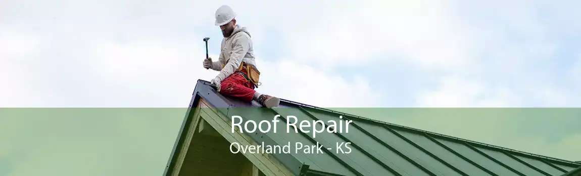 Roof Repair Overland Park - KS