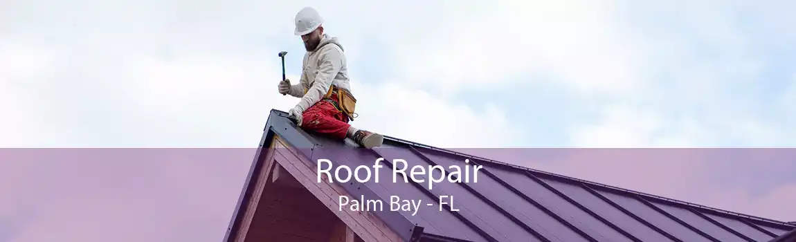 Roof Repair Palm Bay - FL