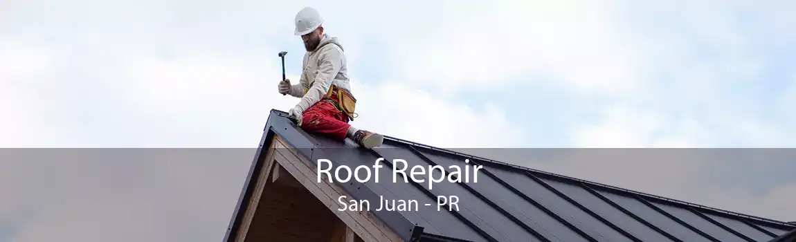 Roof Repair San Juan - PR