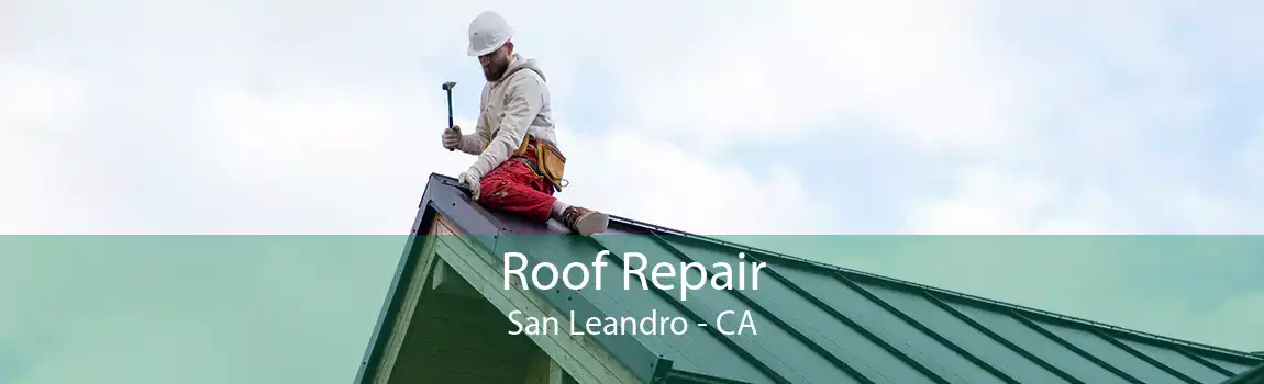 Roof Repair San Leandro - CA