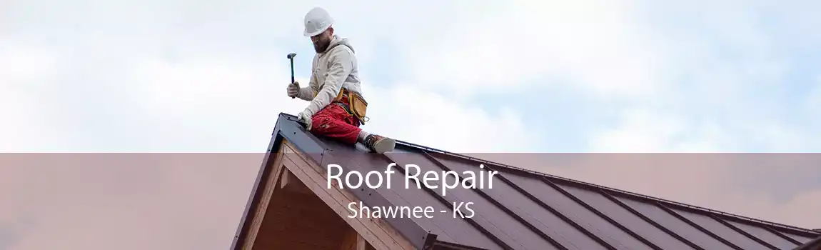 Roof Repair Shawnee - KS