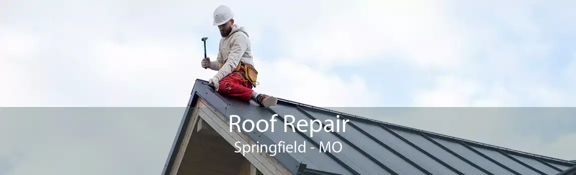 Roof Repair Springfield - MO