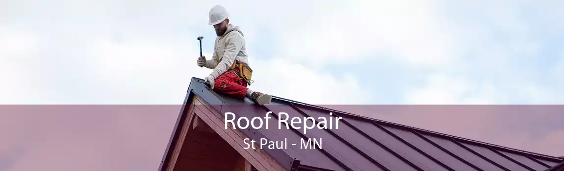 Roof Repair St Paul - MN