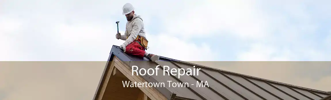 Roof Repair Watertown Town - MA