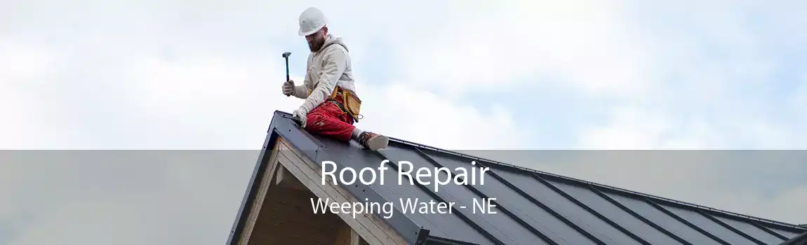 Roof Repair Weeping Water - NE