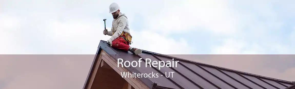 Roof Repair Whiterocks - UT